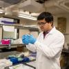 Associate Professor Xiaoyun Ding in the lab