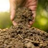 person's hand scooping up fertilizer from the ground