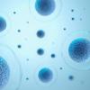 Cells on a blue background