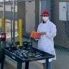 pesticide study