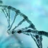 Biomedical engineering at CU Boulder