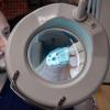 Robot model in front of magnifying glass