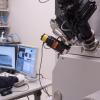 Student working in the lab