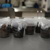 Gregory Whiting Soil Sensor Samples