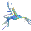 in-silico model