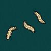 Drawing of maggots