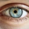 Eyes