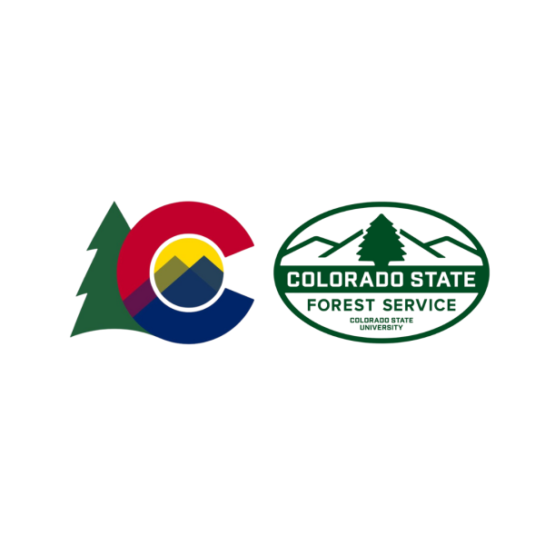 CO Forest Service