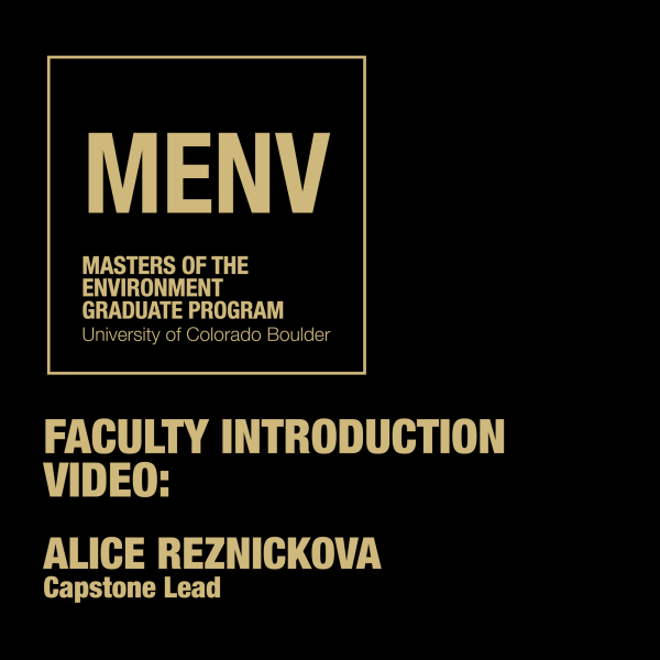 FACULTY INTRODUCTION VIDEO: ALICE REZNICKOVA Capstone Lead
