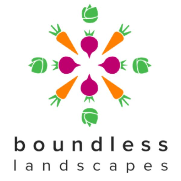 Boundless Landscapes