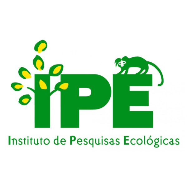IPE Logo