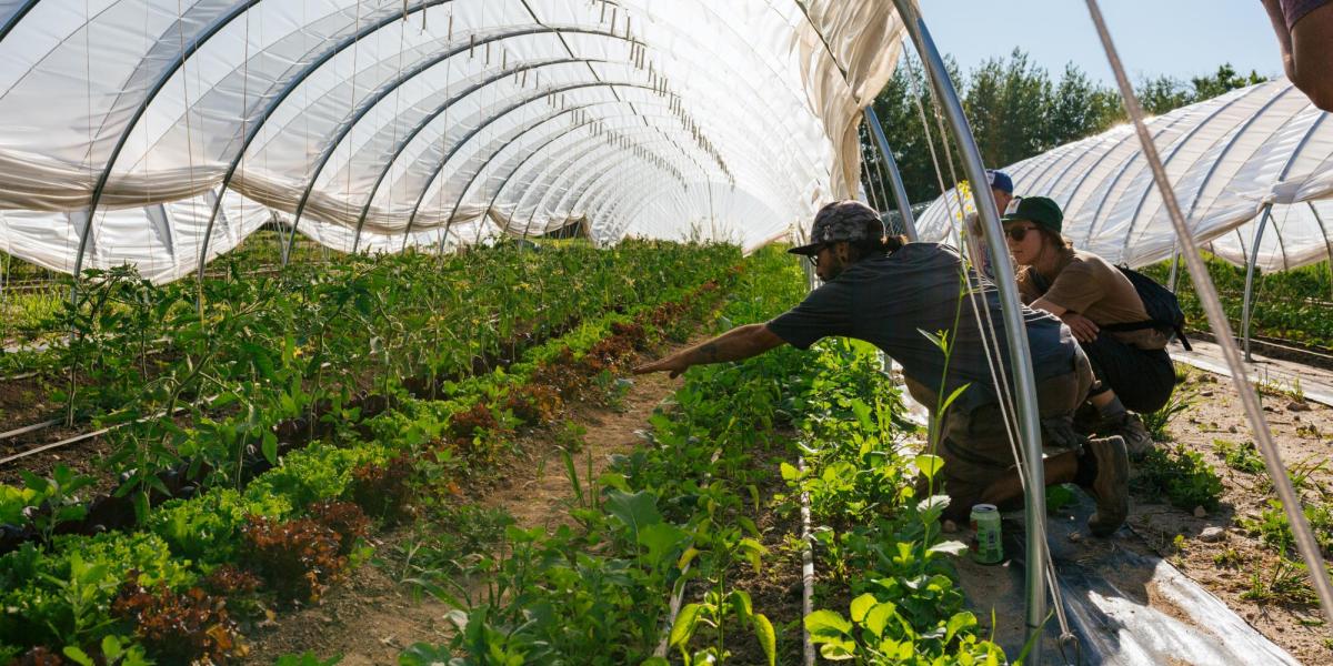 Students working with farmer.