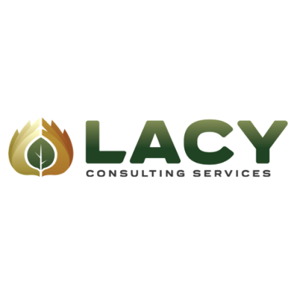 Lacy Consulting Services