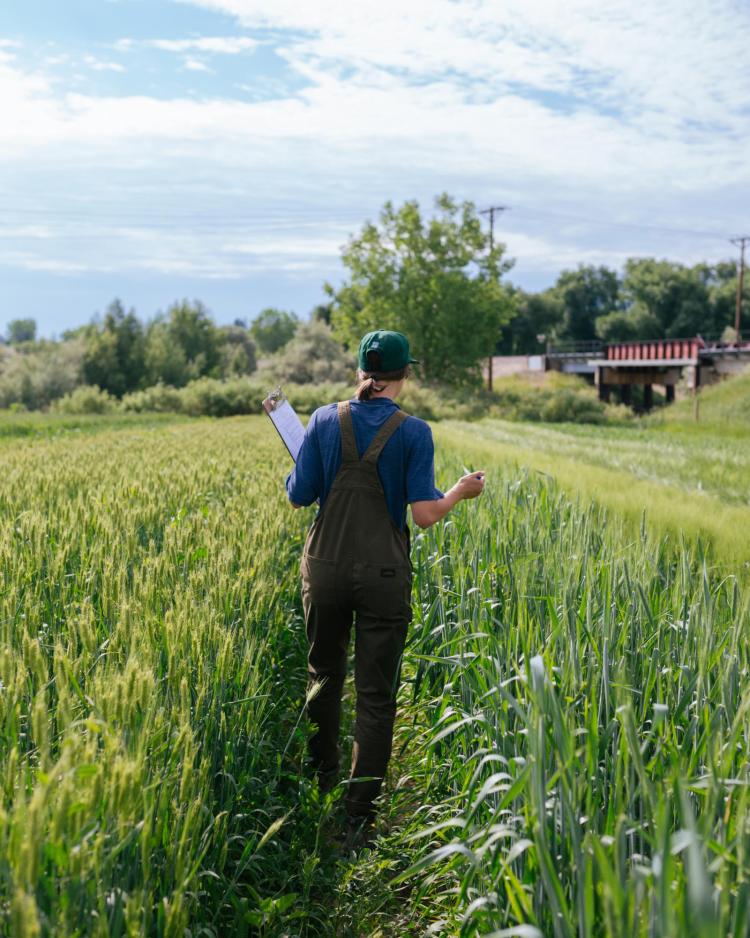 Student in brown overalls and green hat holding a clipboard walking away from the camera in a field of green.