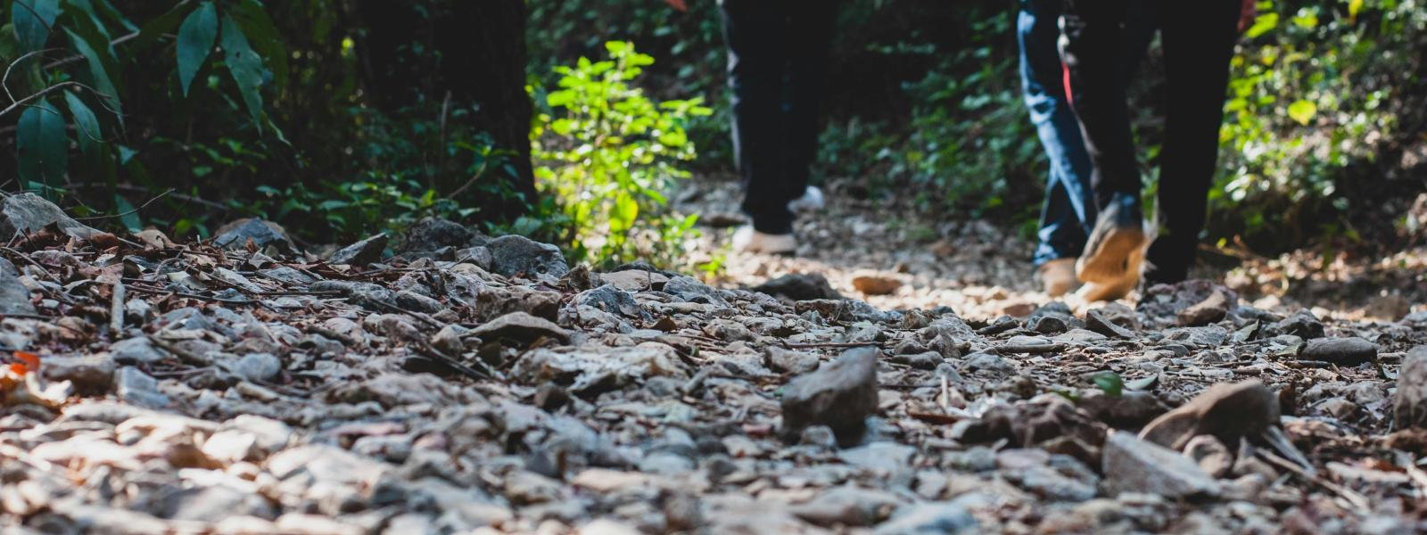 People hiking.
