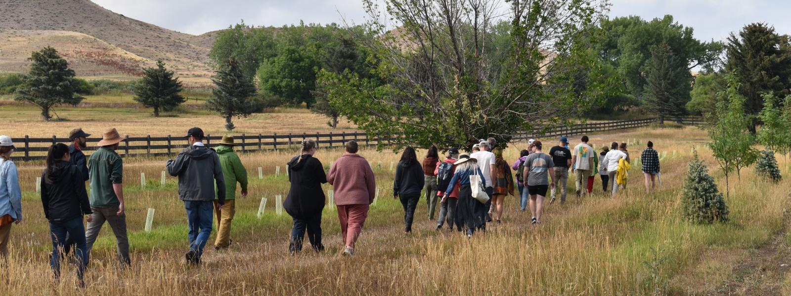 People walking in a field.