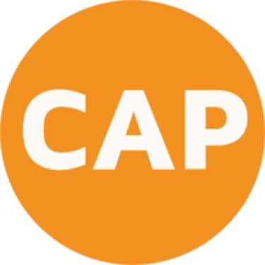 cap management logo