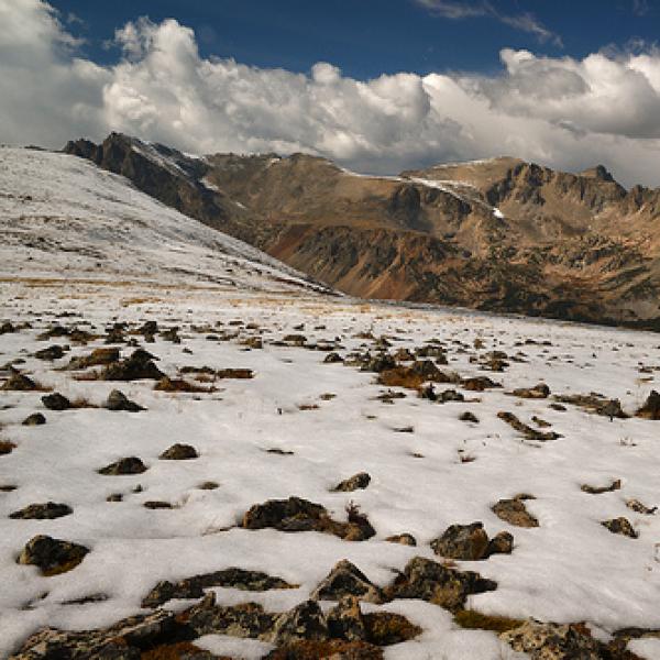 Wind on Niwot Ridge