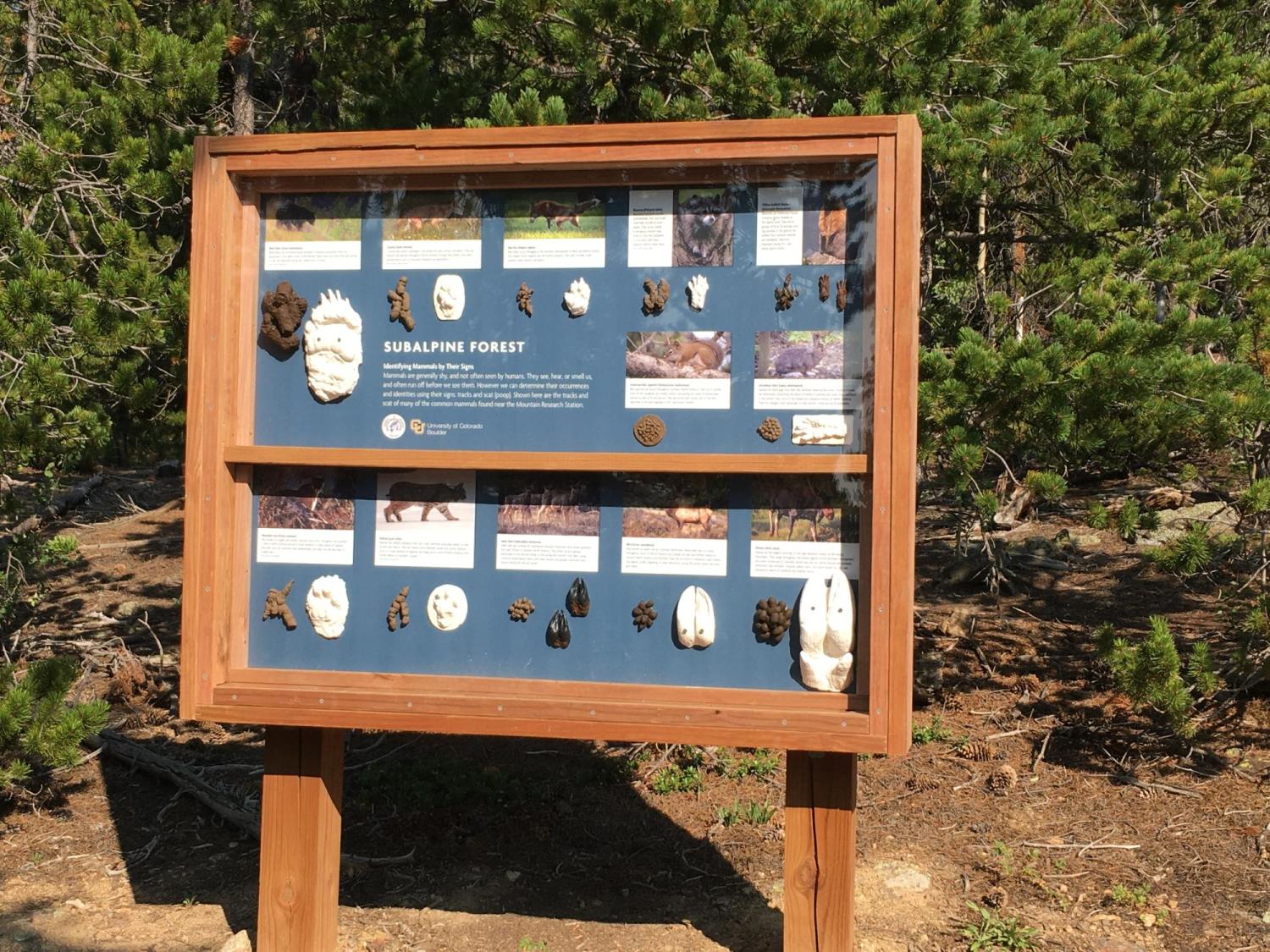 track and scat board