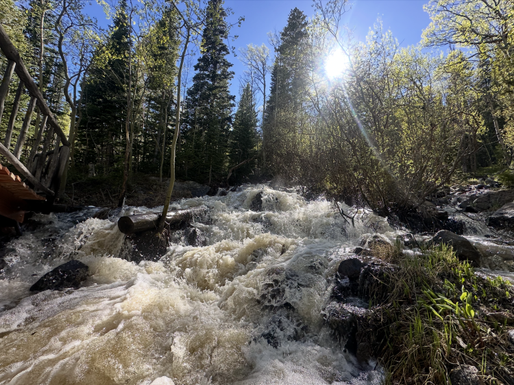 Como creek in June