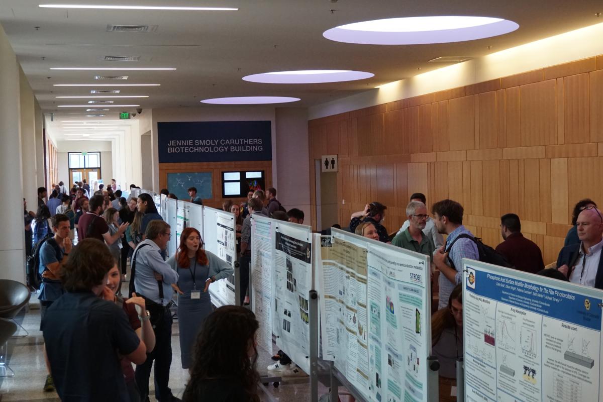 Research poster presentations.