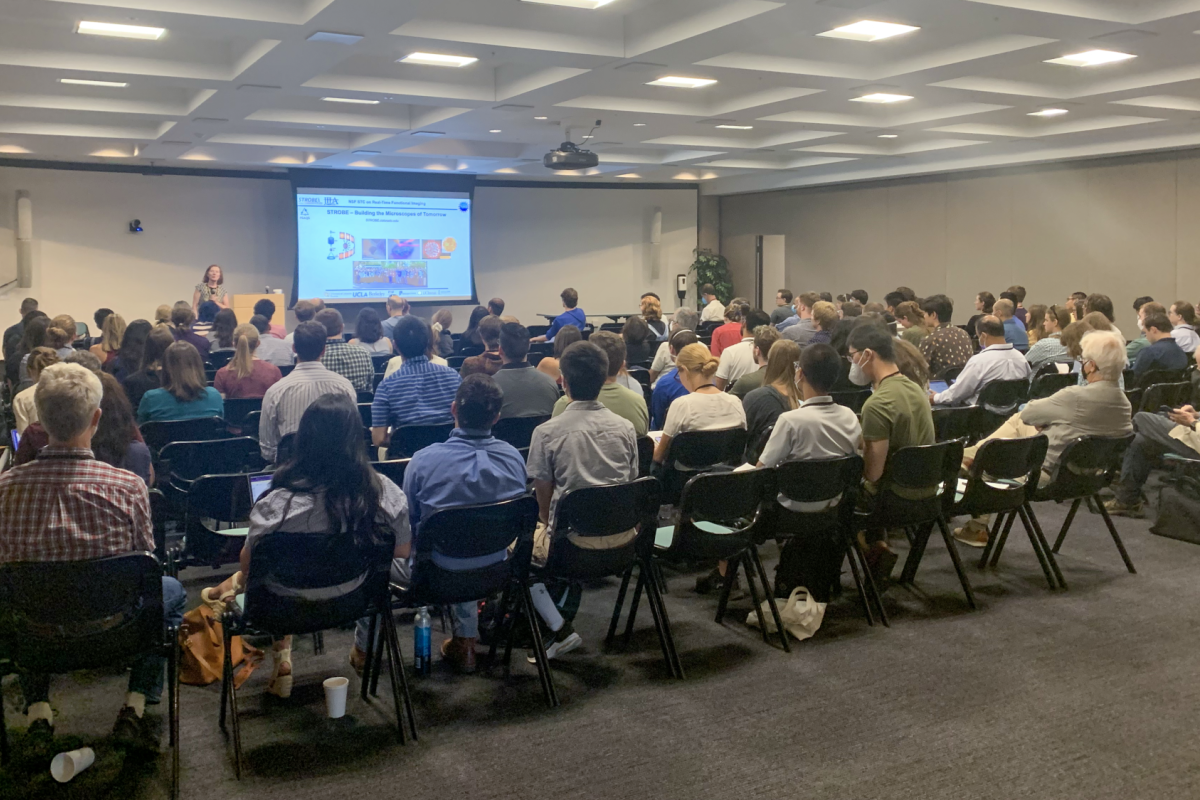 An auditorium during a seminar.
