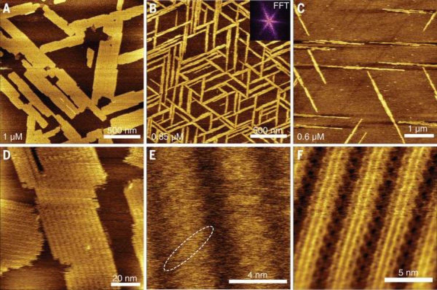 Heinz2DMaterials