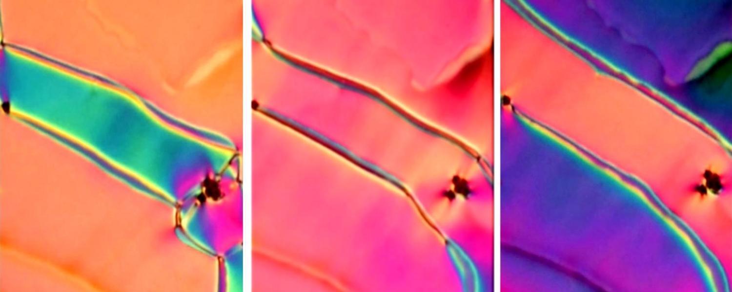 Three views of a new phase of liquid crystal as seen under the microscope