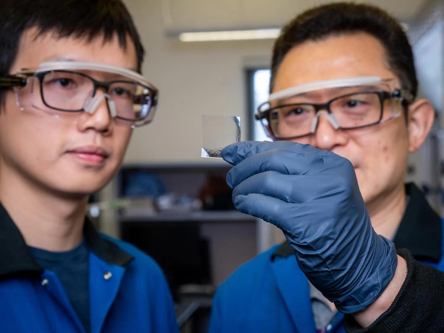 Working in Wei Zhang's lab.