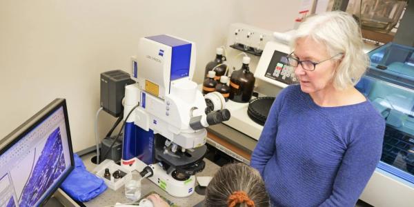 Stephanie Bryant, a materials scientist in the BioFrontiers Institute at CU Boulder, works in her lab. Bryant is leading a Colorado team seeking to end osteoarthritis.