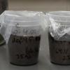 SoilSamples
