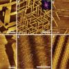 Heinz2DMaterials