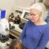 Stephanie Bryant, a materials scientist in the BioFrontiers Institute at CU Boulder, works in her lab. Bryant is leading a Colorado team seeking to end osteoarthritis.