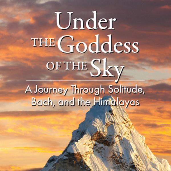 Under the Goddess of the Sky book cover