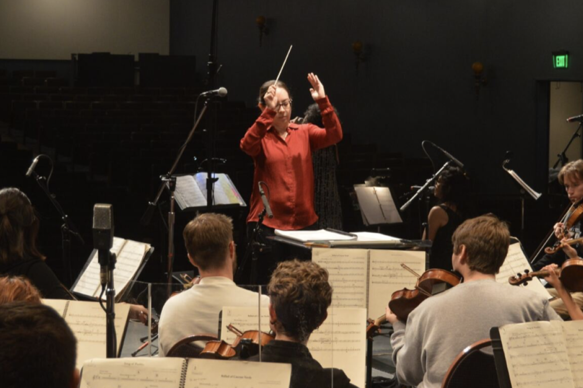 Conductor on stage