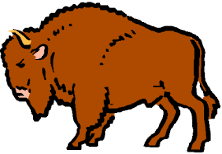 Buffalo