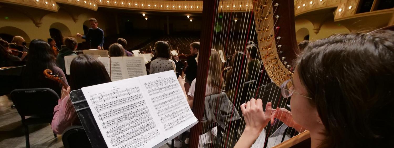 Harp student in ensemble