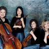 cavani quartet