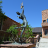 imig courtyard