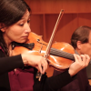 harumi rhodes and david korevaar