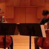 david requiro and meta weiss