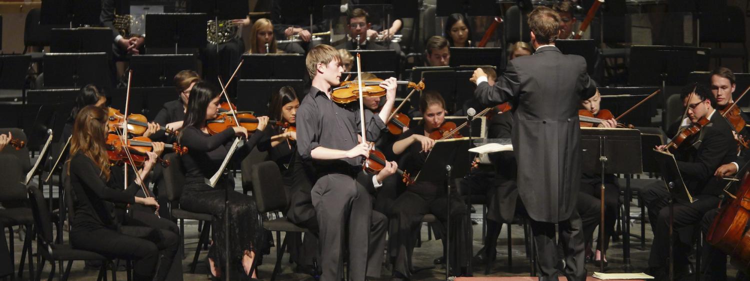 violinist performing