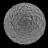 Photo of the Moon's South Pole