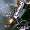 Rough but productive landing of Odysseus Moon lander. Image credit: Intuitive Machines