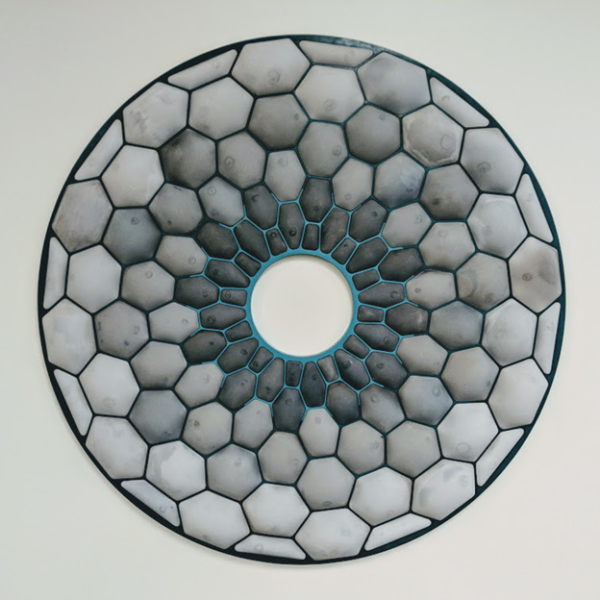 Embryonic
