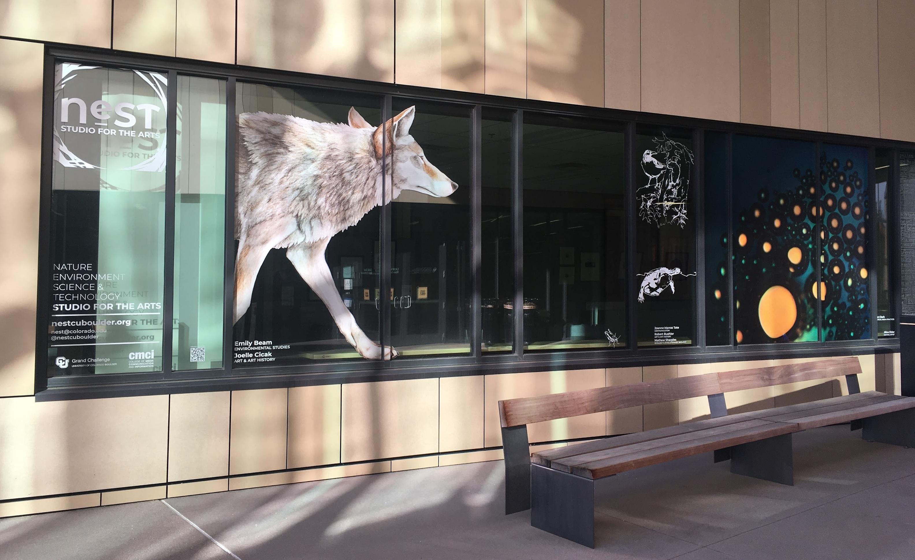 Window of an art gallery with a fox and turtle decal on it