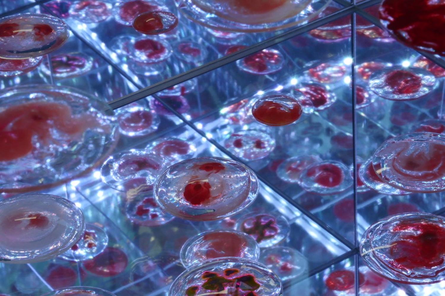 The desire for, and the impossibility of, infinite expansion by Catherine Cartwright