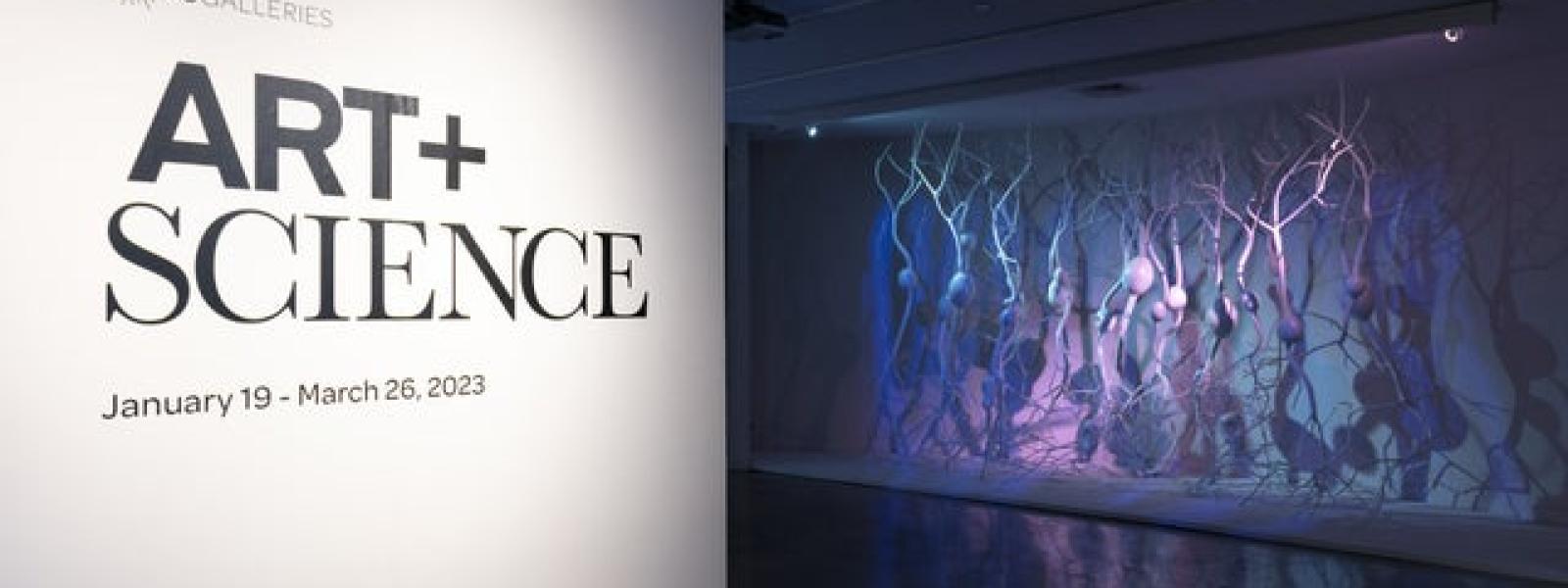 Art and Science