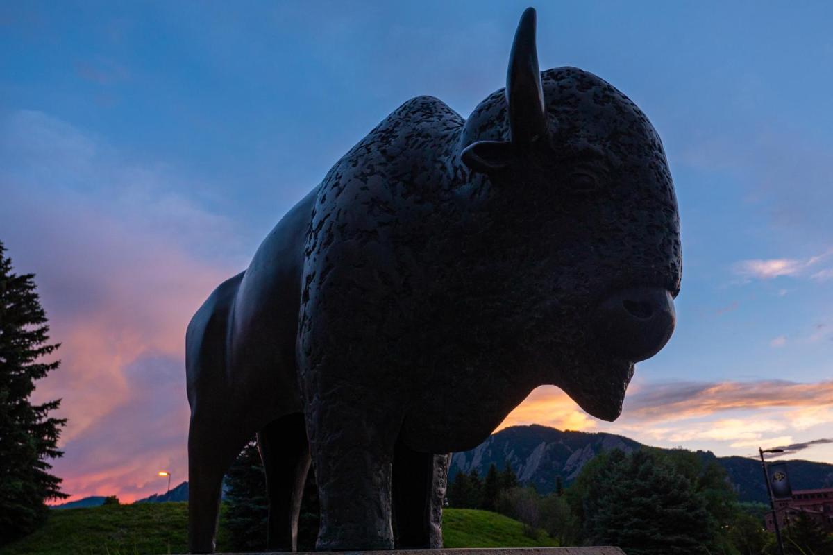 Ralphie statue at twilight
