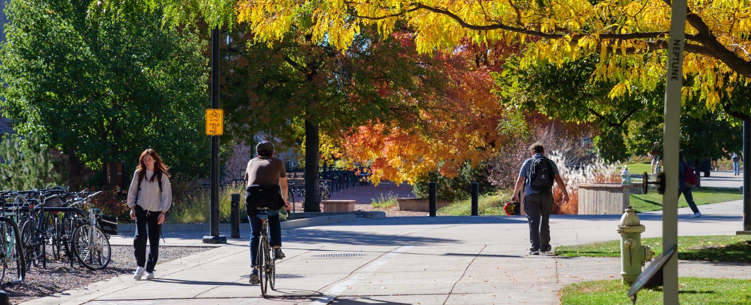Students commuting on campus